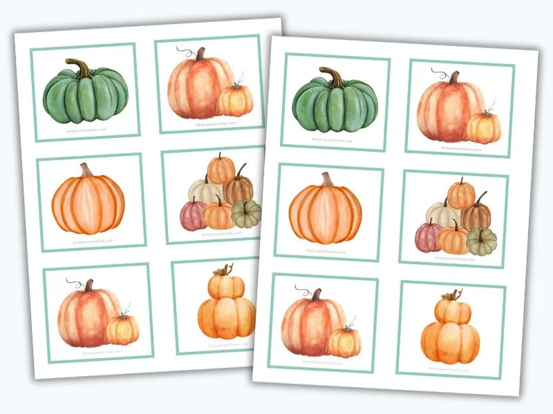 Pumpkin Matching Cards
